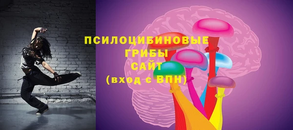 ПСИЛОЦИБИНОВЫЕ ГРИБЫ Баксан