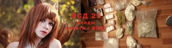 ECSTASY Ельня