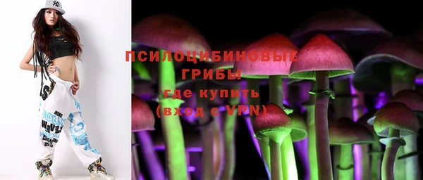 ПСИЛОЦИБИНОВЫЕ ГРИБЫ Баксан